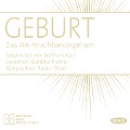 Cover-Bild zum Titel 'Geburt. Das Weihnachtsevangelium' von ''
