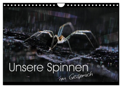 Unsere Spinnen - im Gespräch (Wandkalender 2024 DIN A4 quer), CALVENDO Monatskalender - Carl-Peter Herbolzheimer