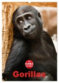 Gorillas (Wandkalender 2025 DIN A2 hoch), CALVENDO Monatskalender - Elisabeth Stanzer