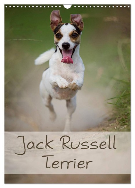 Jack Russell Terrier (Wandkalender 2025 DIN A3 hoch), CALVENDO Monatskalender - Nicole Noack