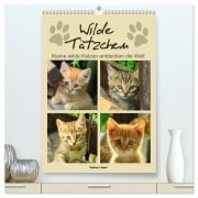 Cover-Bild zum Titel 'Wilde Tätzchen, kleine wilde Katzen entdecken die Welt (hochwertiger Premium Wandkalender 2026 DIN A2 hoch), Kunstdruck in Hochglanz' von 'Sabine Löwer'