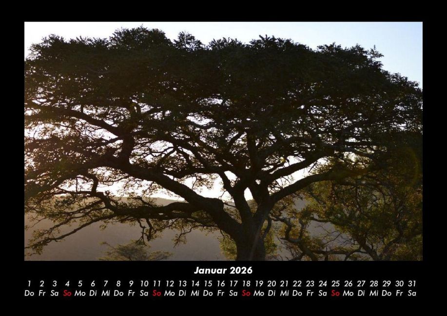 InsideView 5