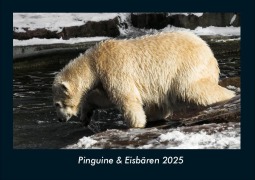 Cover-Bild zum Titel 'Pinguine & Eisbären 2025 Fotokalender DIN A4' von 'Tobias Becker'