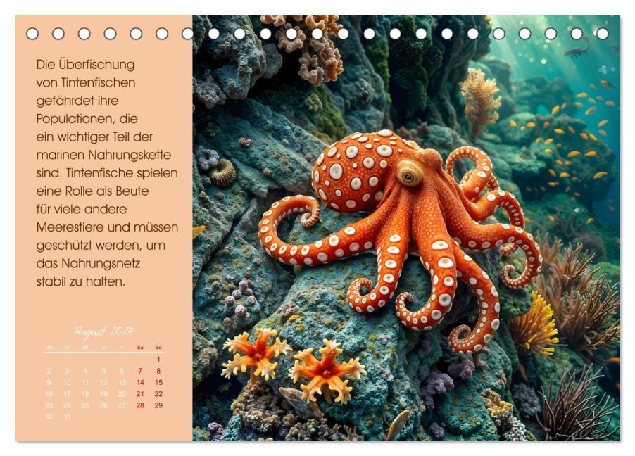 InsideView 13