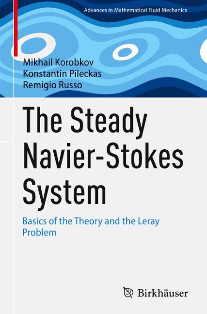 The Steady Navier-Stokes System - Mikhail Korobkov, Remigio Russo, Konstantin Pileckas