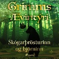 Cover-Bild zum Titel 'Skógarþrösturinn og björninn' von 'Grimmsbræður'