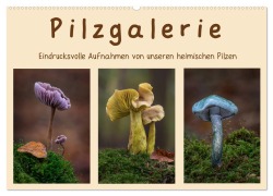 Pilzgalerie - Eindrucksvolle Aufnahmen von unseren heimischen Pilzen (Wandkalender 2025 DIN A2 quer), CALVENDO Monatskalender - Beate Wurster