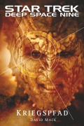Cover-Bild zum Titel 'Star Trek Deep Space Nine 11' von 'David Mack'