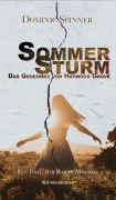 Cover-Bild zum Titel 'Sommersturm - Das Geheimnis von Haywood Grove: Der zweite Fall für Barry Monroe' von 'Dominic Spinner'