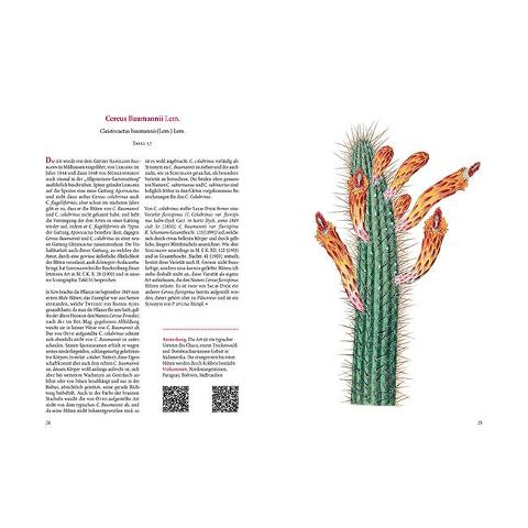 InsideView 11