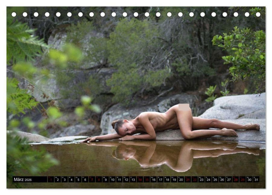 InsideView 8