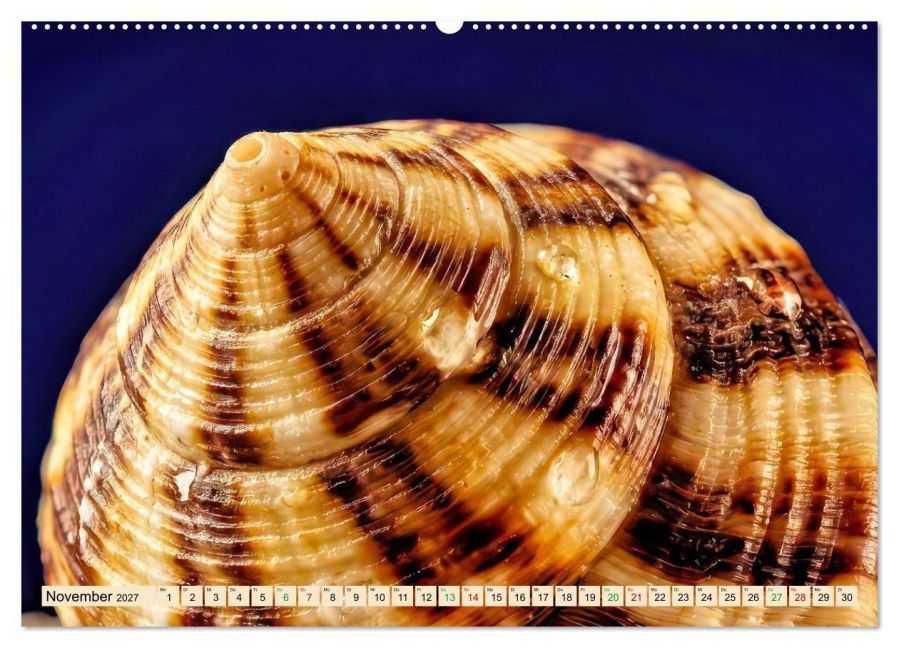 InsideView 3