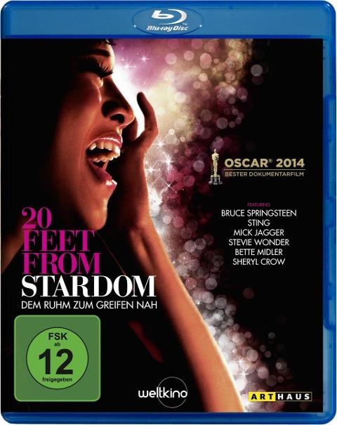20 Feet from Stardom - 