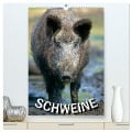 Schweine 2025 (hochwertiger Premium Wandkalender 2025 DIN A2 hoch), Kunstdruck in Hochglanz - 