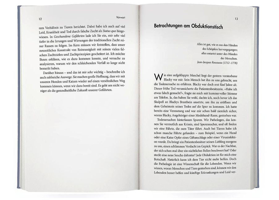 InsideView 2