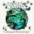Cover-Bild zum Titel 'Beauty In The Silence' von 'Soja'