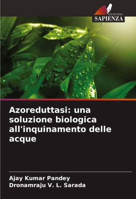 Azoreduttasi: una soluzione biologica all'inquinamento delle acque - Ajay Kumar Pandey, Dronamraju V. L. Sarada