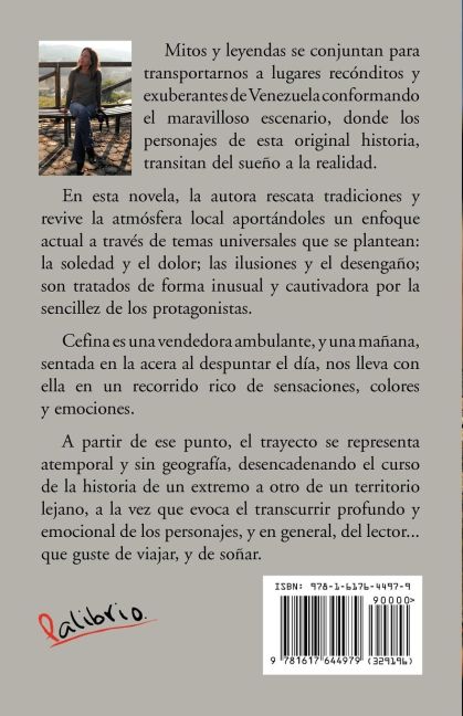 InsideView 1