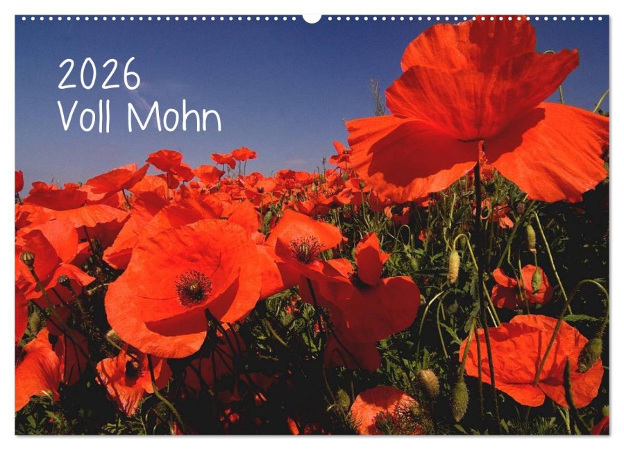 Voll Mohn (Wandkalender 2026 DIN A2 quer), CALVENDO Monatskalender - Michael Möller