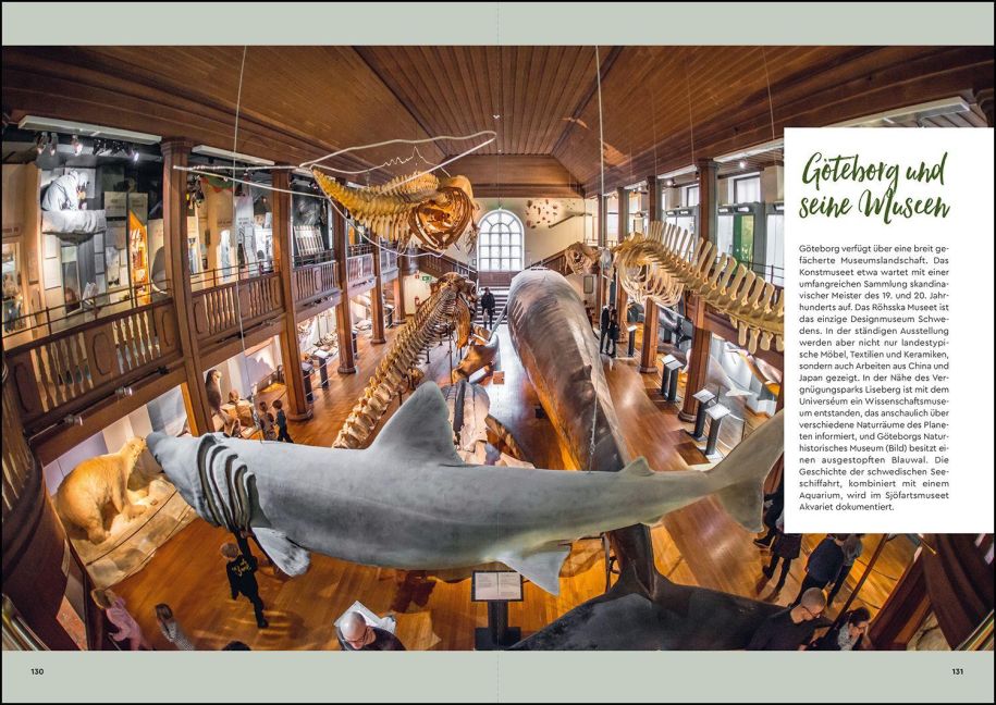 InsideView 5