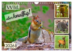 Cover-Bild zum Titel 'Wild, aber knuffig! (Wandkalender 2026 DIN A4 quer), CALVENDO Monatskalender' von 'Lost Plastron Pictures'