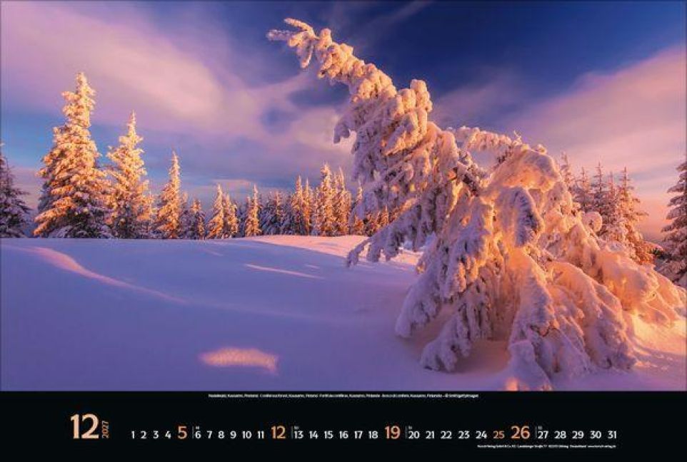 InsideView 12