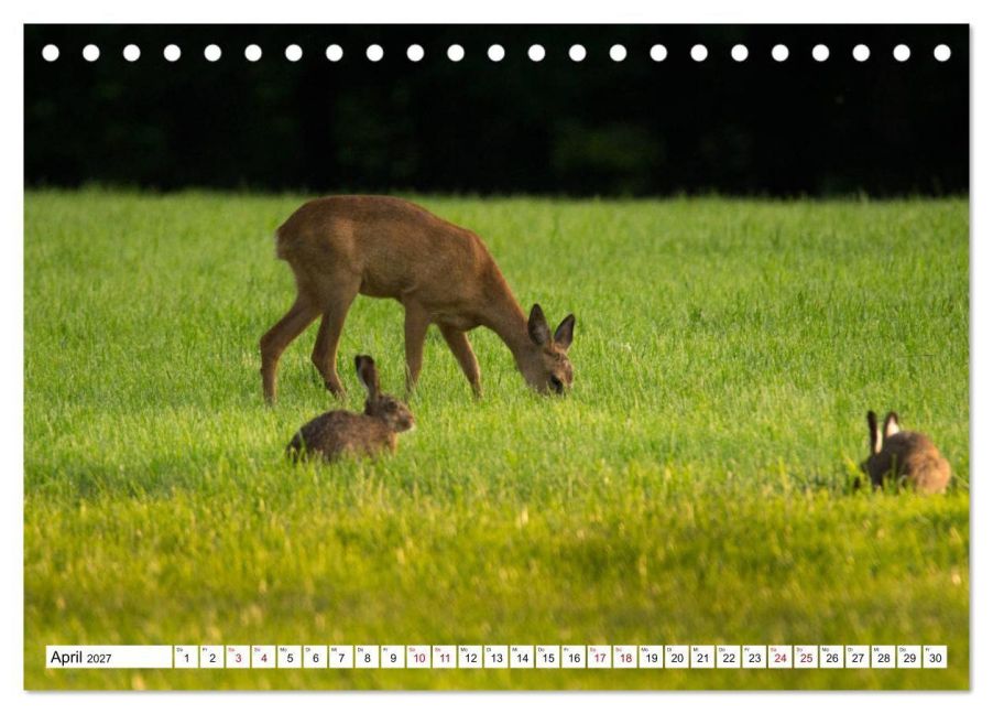 InsideView 9