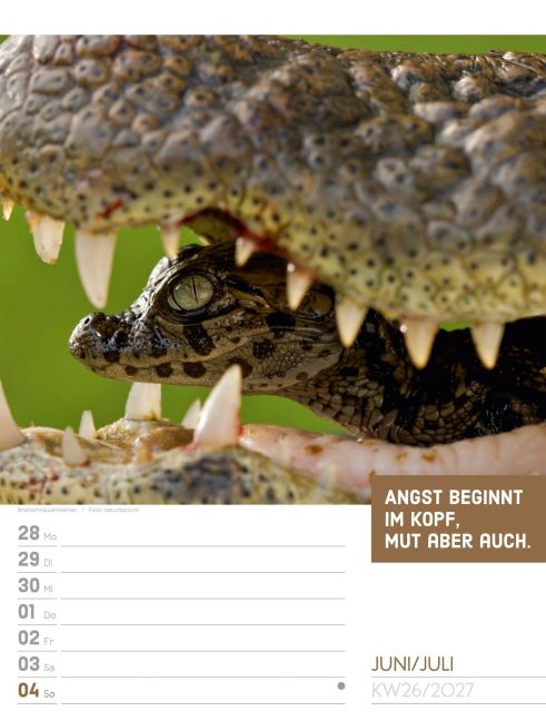 InsideView 30