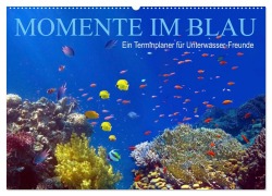 Cover-Bild zum Titel 'Momente im Blau - Ein Terminplaner für Unterwasser-Freunde (Wandkalender 2026 DIN A2 quer), CALVENDO Monatskalender' von 'Tina Melz'