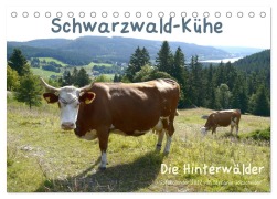 Cover-Bild zum Titel 'Schwarzwald-Kühe - Die Hinterwälder (Tischkalender 2027 DIN A5 quer), CALVENDO Monatskalender' von 'Biothemen Goldscheider'