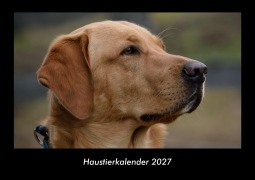 Cover-Bild zum Titel 'Haustierkalender 2027 Fotokalender DIN A3' von 'Tobias Becker'