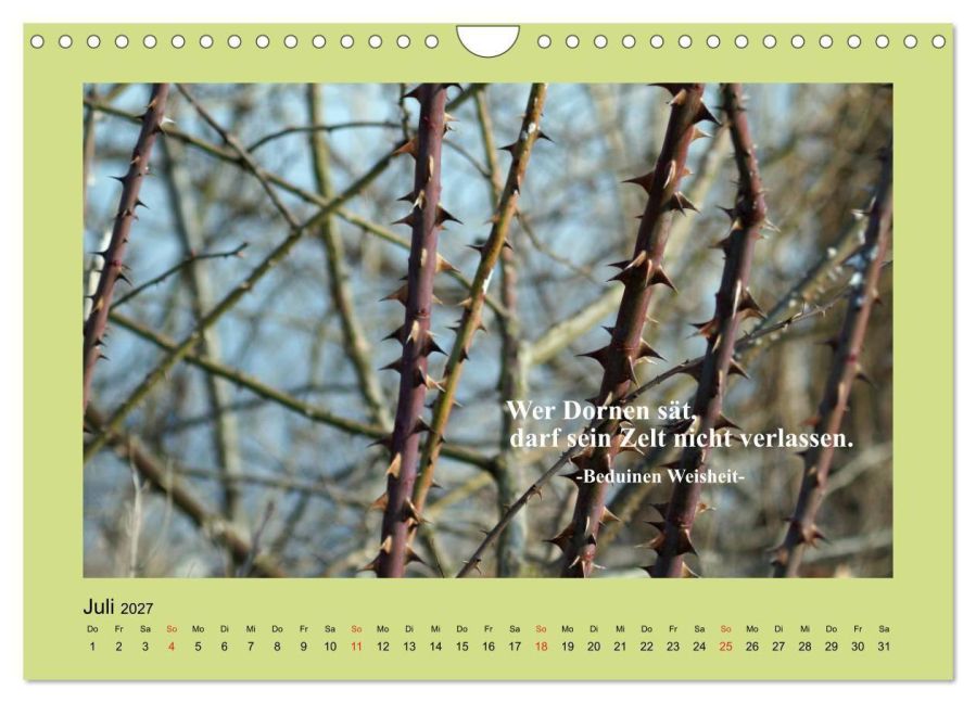 InsideView 12