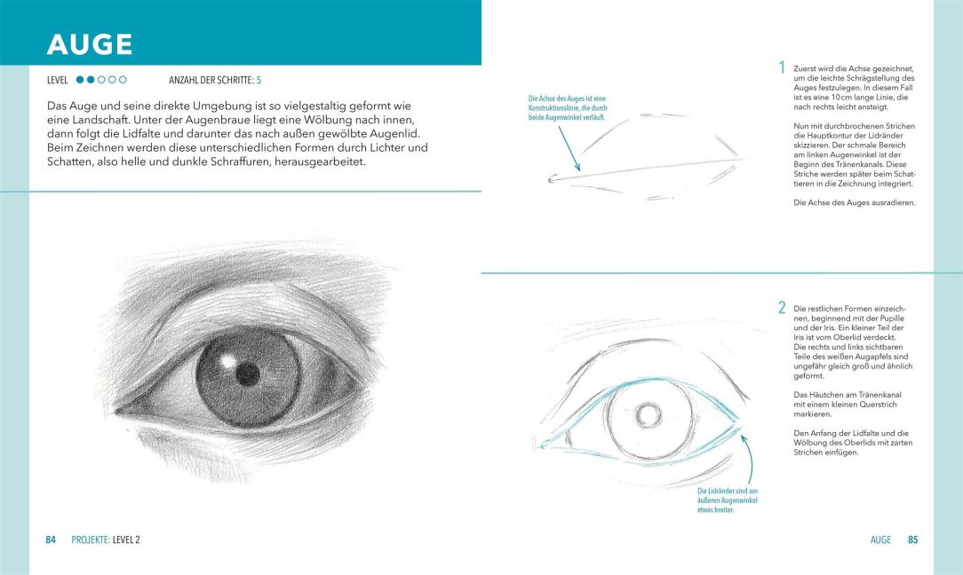 InsideView 6