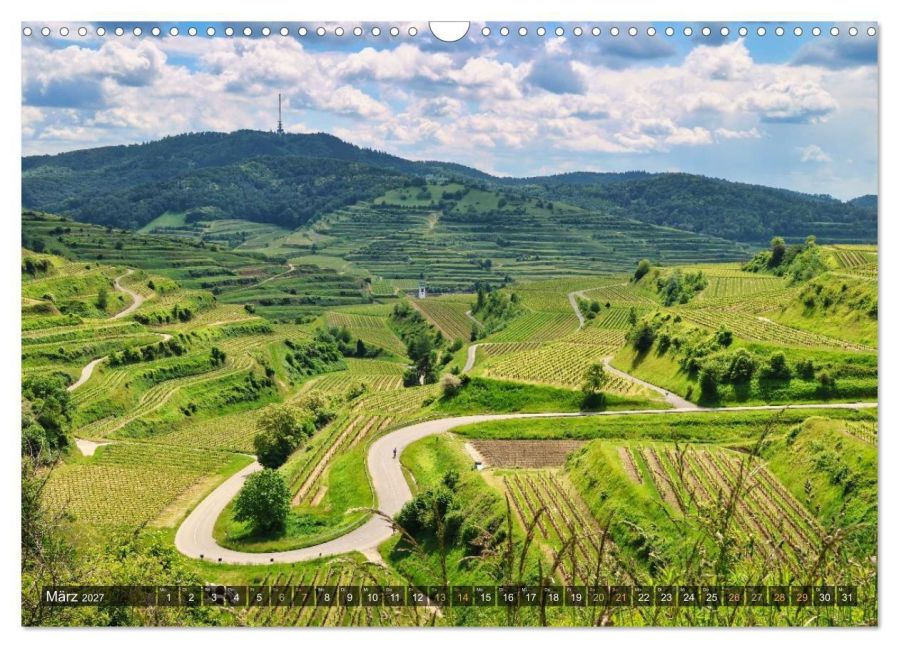 InsideView 8