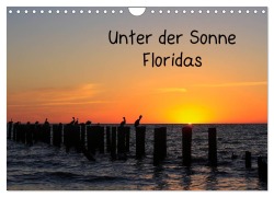 Cover-Bild zum Titel 'Unter der Sonne Floridas (Wandkalender 2026 DIN A4 quer), CALVENDO Monatskalender' von 'Matthias Haberstock'