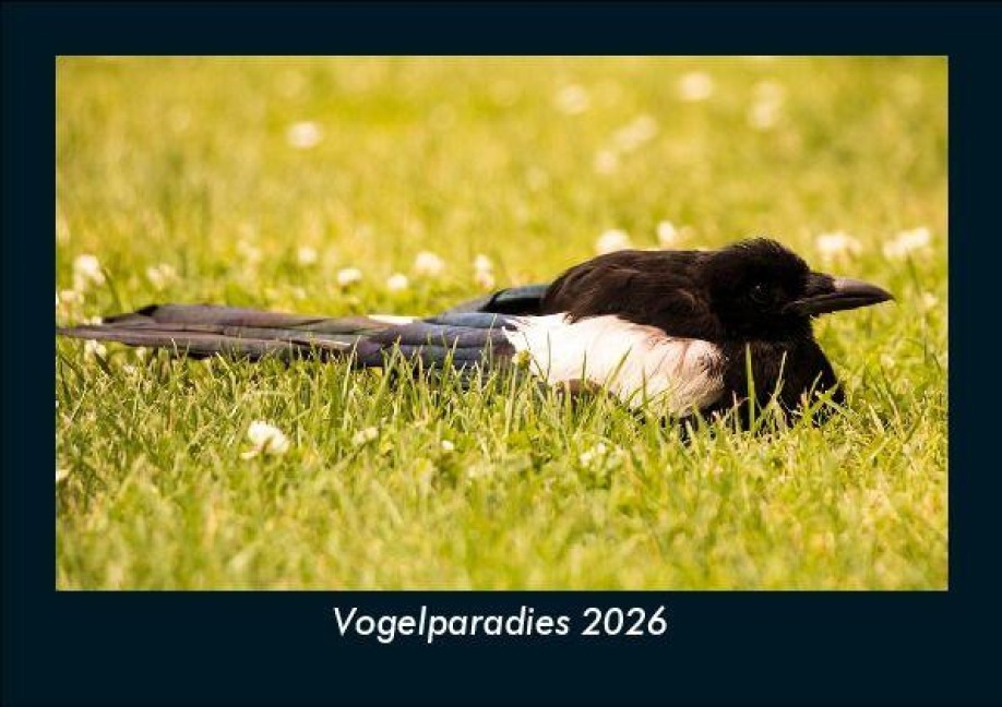 Vogelparadies 2026 Fotokalender DIN A5 - Tobias Becker