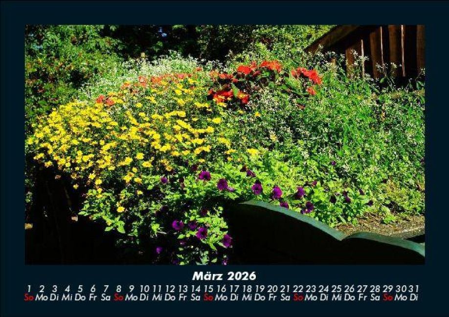 InsideView 7
