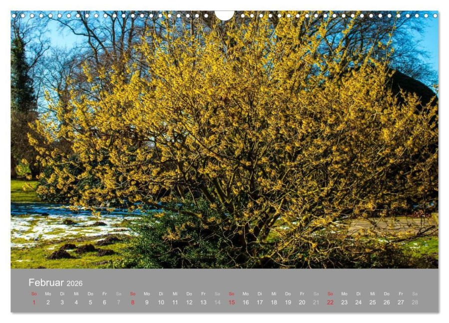 InsideView 7