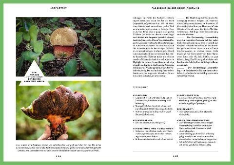 InsideView 4