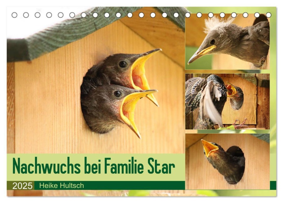 Nachwuchs bei Familie Star (Tischkalender 2025 DIN A5 quer), CALVENDO Monatskalender - Heike Hultsch
