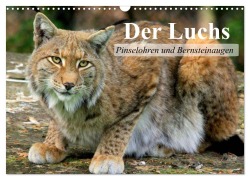 Der Luchs. Pinselohren und Bernsteinaugen (Wandkalender 2025 DIN A3 quer), CALVENDO Monatskalender - Elisabeth Stanzer