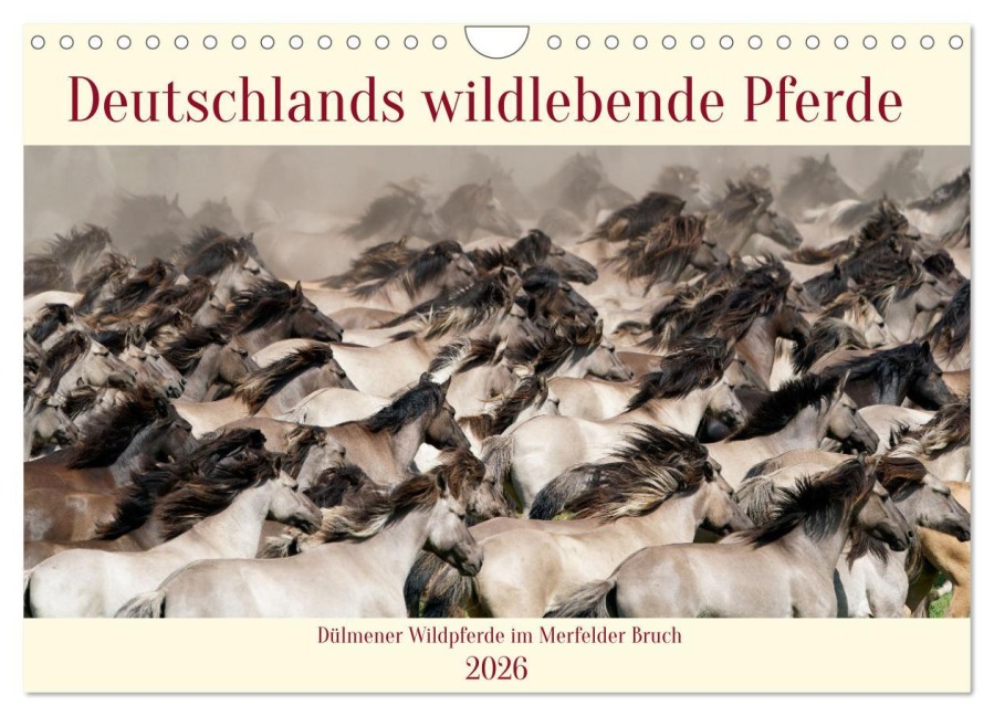 Deutschlands wildlebende Pferde (Wandkalender 2026 DIN A4 quer), CALVENDO Monatskalender - Marcel René Grossmann