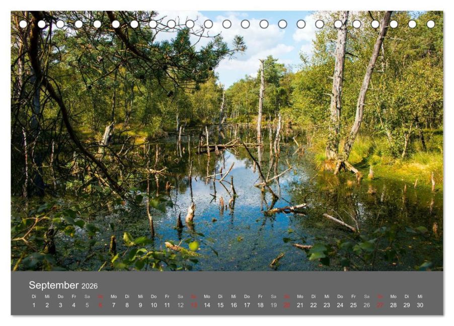 InsideView 14