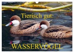 Cover-Bild zum Titel 'Tierisch gut: Wasservögel (Wandkalender 2026 DIN A3 quer), CALVENDO Monatskalender' von 'Gisela Kruse'