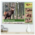 Der Rothirsch - Der König in unseren Wäldern (hochwertiger Premium Wandkalender 2024 DIN A2 quer), Kunstdruck in Hochglanz - Arno Klatt