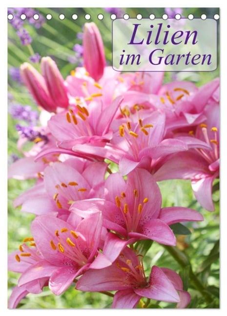 Lilien im Garten (Tischkalender 2026 DIN A5 hoch), CALVENDO Monatskalender - Gisela Kruse