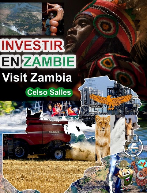 INVESTIR EN ZAMBIE - Visit Zambia - Celso Salles - Celso Salles