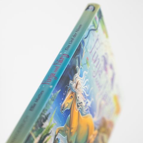 InsideView 6