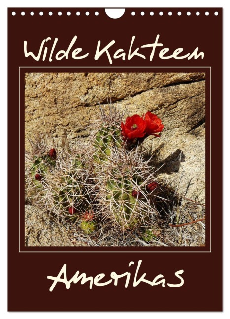 Wilde Kakteen Amerikas (Wandkalender 2026 DIN A4 hoch), CALVENDO Monatskalender - Jana Thiem-Eberitsch