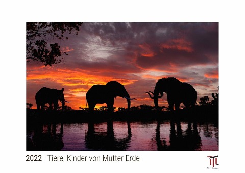 Tiere, Kinder von Mutter Erde 2022 - White Edition - Timokrates Kalender, Wandkalender, Bildkalender - DIN A3 (42 x 30 cm) - 